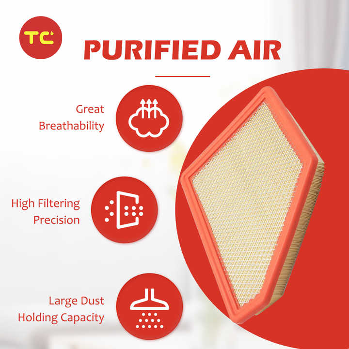 Cabin Air Filter