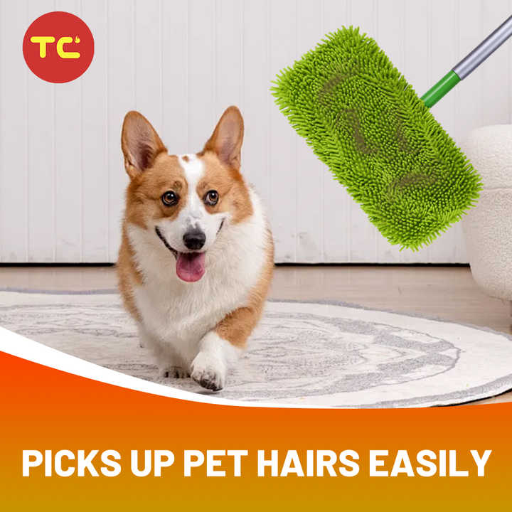 Clean Mop replacement