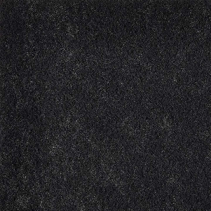 Winix 113050 Air Purifier Filter