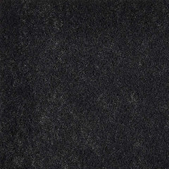 Winix 113050 Air Purifier Filter