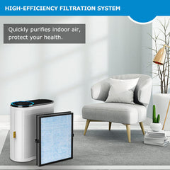 True HEPA Filters