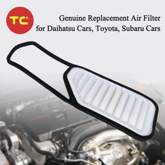 Cabin Air Filters