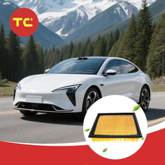Engine Air Filters