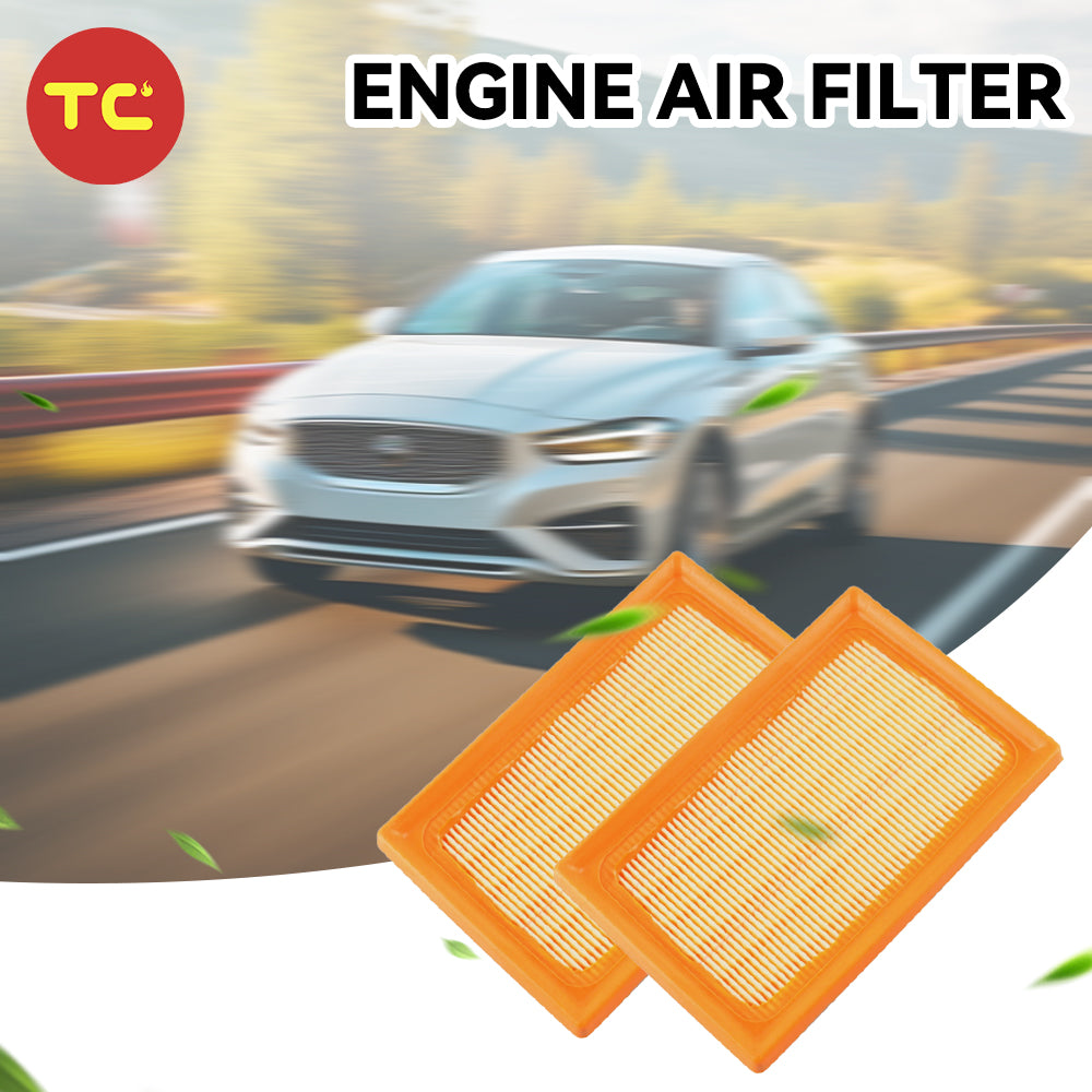 Engine Air Filters